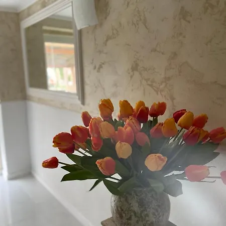 홈스테이 Apartman Timea Dunajská Streda