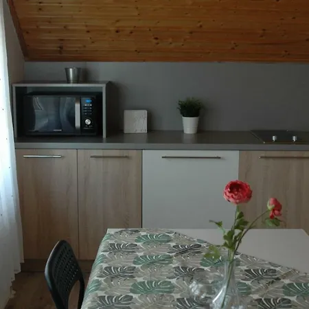 Ubytování v soukromí Apartman Timea Dunajská Streda
