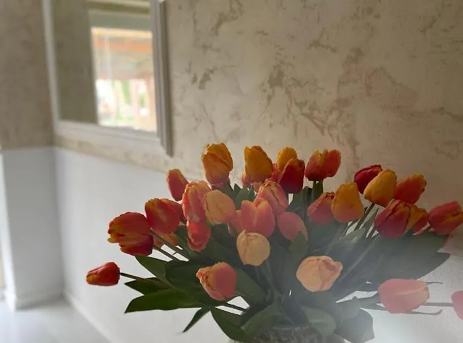 Privat bolig Apartman Timea Dunajská Streda